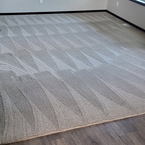 Carpet Cleaning After 2